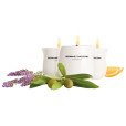 GYERTYA LAVENDER MASSAGE SPERIENCE